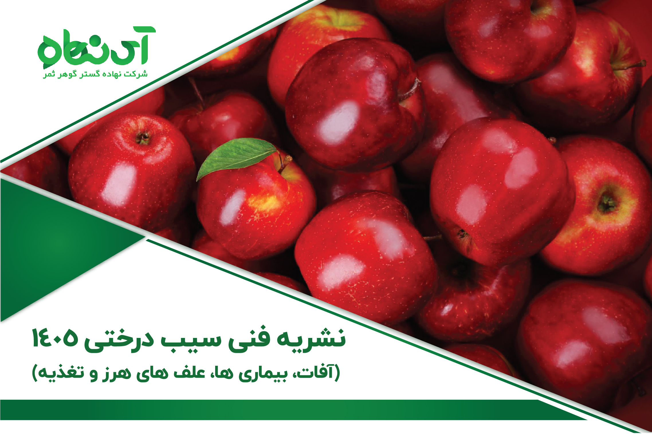 خلاصه نشریه فنی سیب درختی 1405